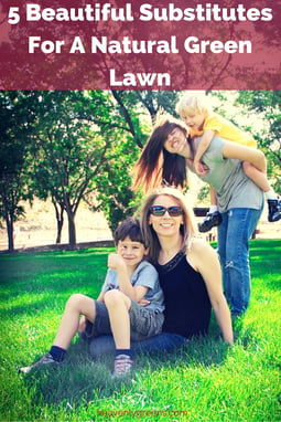 5 Beautiful Substitutes For A Natural Green Lawn http://www.heavenlygreens.com/blog/5-beautiful-substitutes-for-a-natural-green-lawn @heavenlygreens