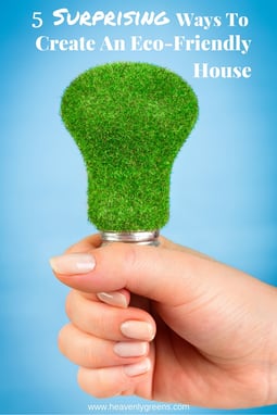 5 Surprising Ways To Create An Eco-Friendly House http://www.heavenlygreens.com/blog/5-surprising-ways-to-create-an-eco-friendly-house @heavenlygreens