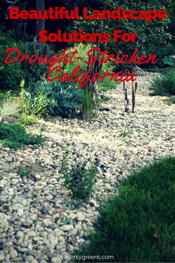Beautiful Landscape Solutions For Drought-Stricken California http://www.heavenlygreens.com/blog/beautiful-landscape-solutions-for-drought-stricken-california @heavenlygreens