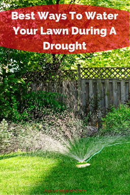 Best Ways To Water Your Lawn During A Drought http://www.heavenlygreens.com/blog/best-ways-to-water-your-lawn-during-a-drought @heavenlygreens