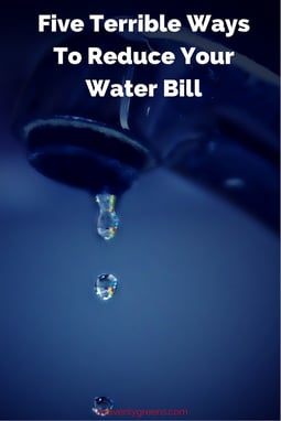 Five Terrible Ways To Reduce Your Water Bill http://www.heavenlygreens.com/blog/five-terrible-ways-to-reduce-your-water-bill @heavenlygreens