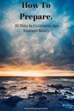 How To Prepare For El Niño In California. Get Yourself Ready! http://www.heavenlygreens.com/blog/how-to-prepare-for-el-niño-in-california.-get-yourself-ready @heavenlygreens