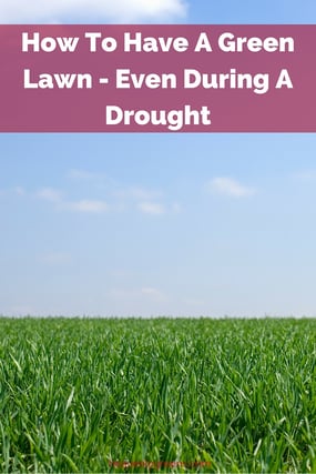 How To Have A Green Lawn - Even During A Drought http://www.heavenlygreens.com/blog/how-to-have-a-green-lawn-even-during-a-drought @heavenlygreens