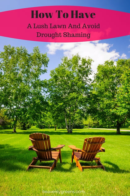 How To Have A Lush Lawn And Avoid Drought Shaming