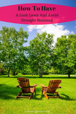How To Have A Lush Lawn And Avoid Drought Shaming http://www.heavenlygreens.com/blog/how-to-have-a-lush-lawn-and-avoid-drought-shaming @heavenlygreens
