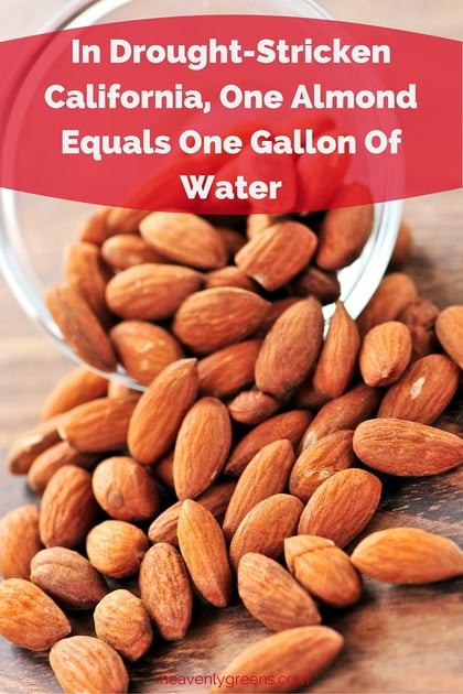 In Drought-Stricken California, One Almond Equals One Gallon Of Water