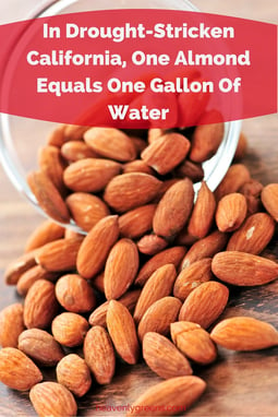 In Drought-Stricken California, One Almond Equals One Gallon Of Water http://www.heavenlygreens.com/blog/in-drought-stricken-california-one-almond-one-gallon-of-water @heavenlygreens