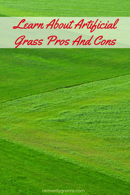 Learn About Artificial Grass Pros And Cons