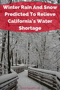Winter Rain And Snow Predicted To Relieve California's Water Shortage http://www.heavenlygreens.com/blog/winter-rain-and-snow-predicted-to-relieve-californias-water-shortage @heavenlygreens