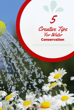 5 Tips For Water Conservation http://www.heavenlygreens.com/blog/5-tips-for-a-drought-tolerant-garden-during-the-california-drought @heavenlygreens