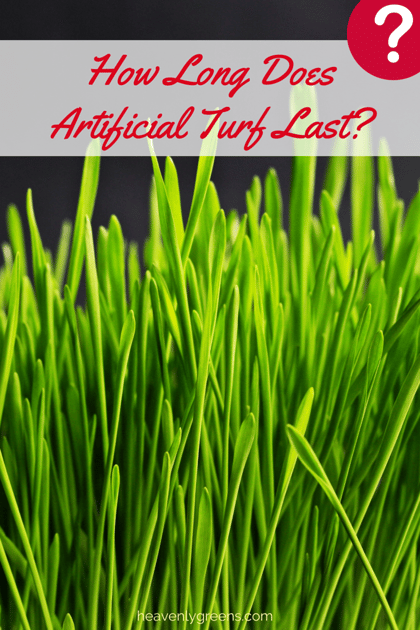 How Long Should Artificial Turf Last?