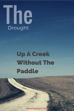 Up A Creek Without A Paddle http://www.heavenlygreens.com/blog/california-drought-leaving-us-up-a-creek-without-a-paddle-or-a-creek @heavenlygreens