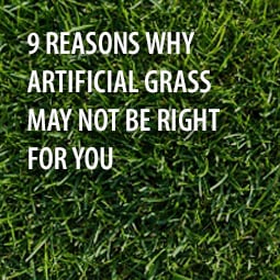 9 Reasons Why Artificial Grass May Not Be Right For You