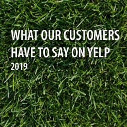 customer reviews on Yelp
