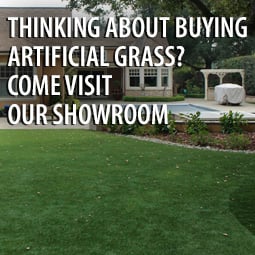 beautful home with artifical grass lawn