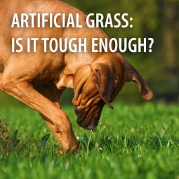 Artificial Grass: Is It Tough Enough?