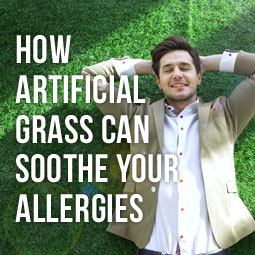 How Artificial Grass Can Soothe Your Allergies http://www.heavenlygreens.com/how-artificial-grass-can-soothe-your-allergies @heavenlygreens