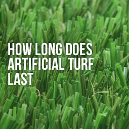 closeup of Artificial Turf that lasts