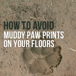 How To Avoid Muddy Paw Prints On Your Floors http://www.heavenlygreens.com/blog/how-to-avoid-muddy-paw-prints-on-your-floors @heavenlygreens