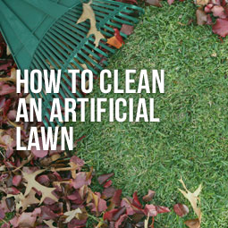  racking leaves on artificial lawn