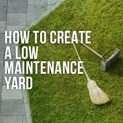 How To Create A Low Maintenance Yard