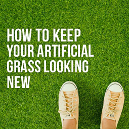 How To Keep Your Artificial Grass Looking New