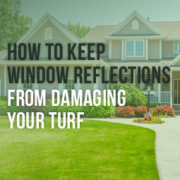 How To Keep Window Reflections From Damaging Your Artificial Turf