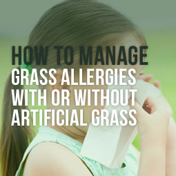 How To Manage Grass Allergies With Or Without Artificial Grass