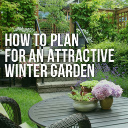 How To Plan For An Attractive Winter Garden