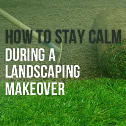 How To Stay Calm During A Landscape Makeover