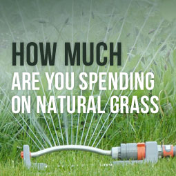 How Much Are You Spending on Natural Grass