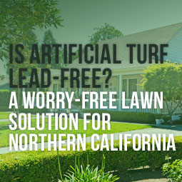 Is Artificial Turf Lead-Free? Worry-Free Lawn Solution For California