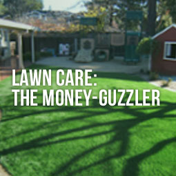Lawn Care: The Money-Guzzler