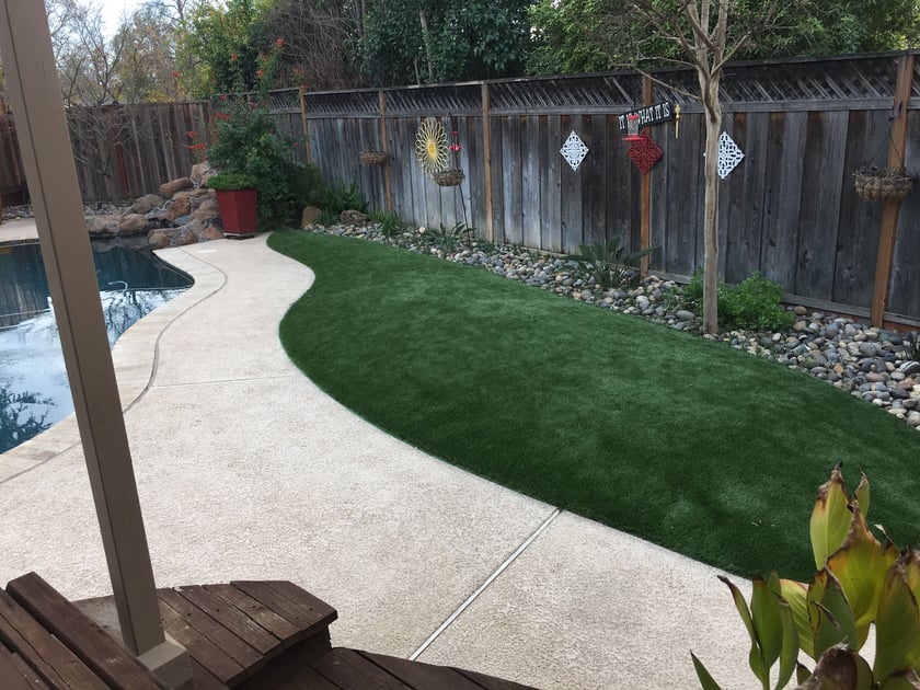 Solved: Grass That Just Wouldn’t Grow Around Pool