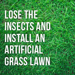 Lose the Insects and Install an Artificial Grass Lawn