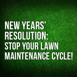 New Year's Resolution: Stop Your Lawn Maintenance Cycle!