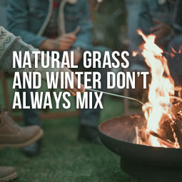 Natural Grass And Winter Don't Always Mix