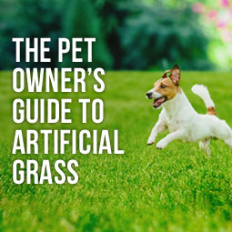 The Pet Owner’s Guide To Artificial Grass