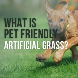 What is Pet Friendly Artificial Grass?