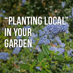 “Planting Local” In Your Garden