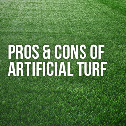 The Pros and Cons of Artificial Grass