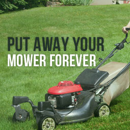 Put Away Your Mower Forever