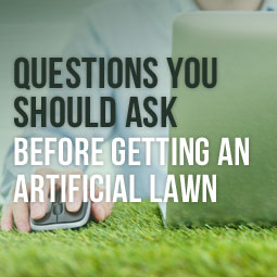 Questions You Should Ask Before Getting An Artificial Lawn