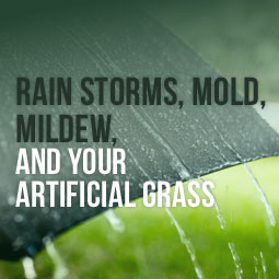 Rain Storms, Mold, Mildew, and Your Artificial Grass