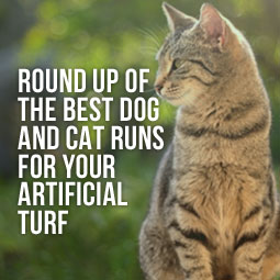 Round Up of the Best Dog and Cat Runs For Your Artificial Turf