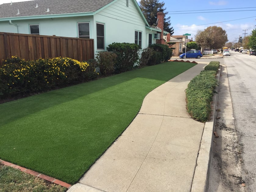See Why Artificial Turf Is The Best Choice For Pet Owners