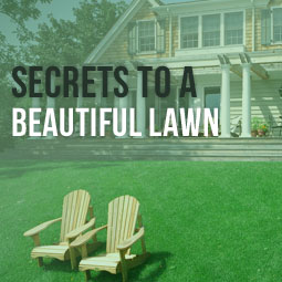Secrets To A Beautiful Lawn