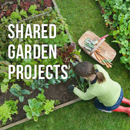 Shared Garden Projects http://www.heavenlygreens.com/shared-garden-projects @heavenlygreens