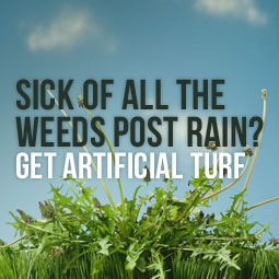 Sick Of All The Weeds Post-Rain? Get Artificial Turf http://www.heavenlygreens.com/blog/sick-of-all-the-weeds-post-rain-get-artificial-turf @heavenlygreens