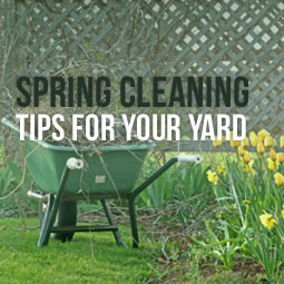 Spring Cleaning Tips For Your Yard